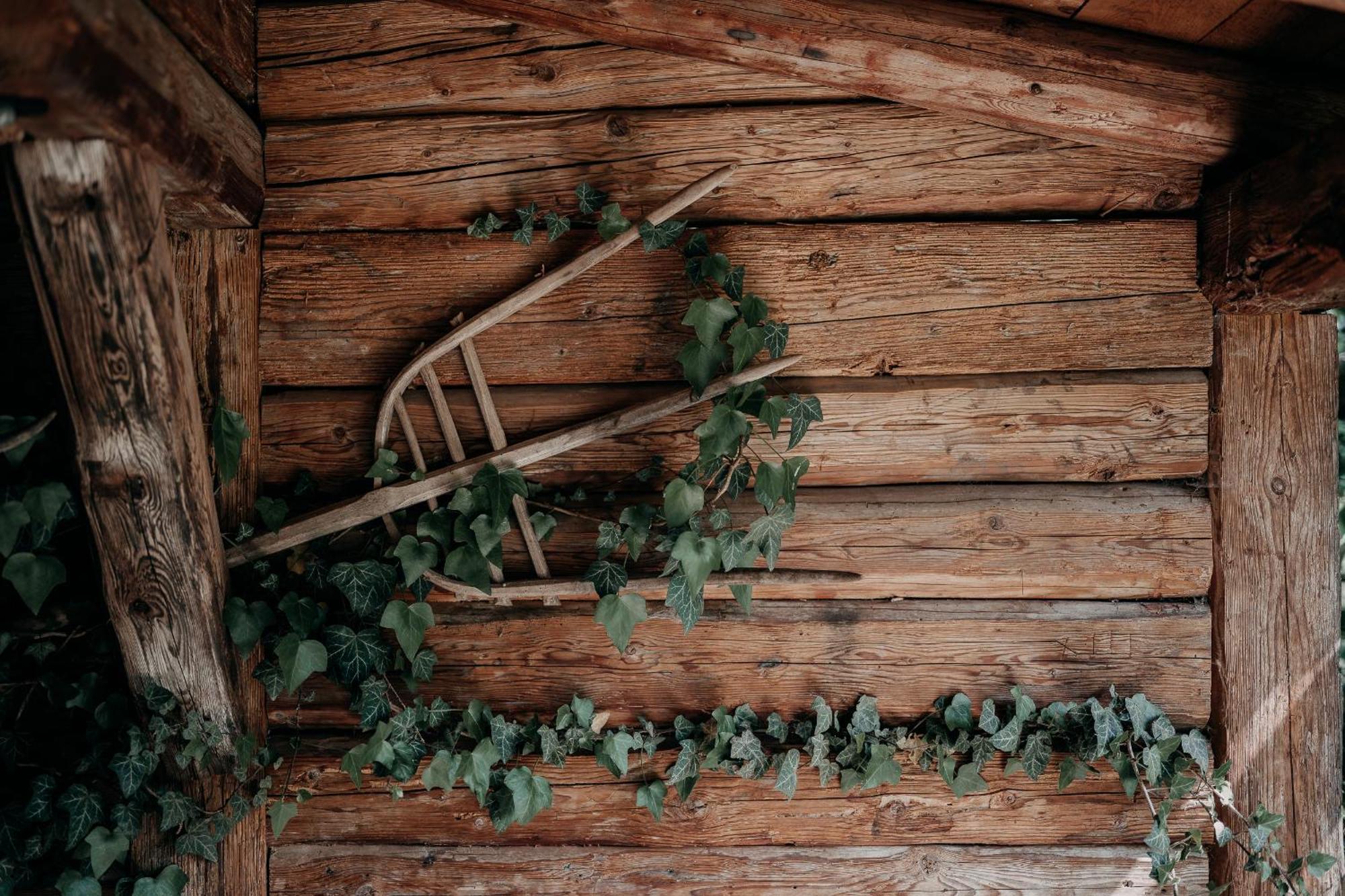 Alpenappartements Cristall エールヴァルト エクステリア 写真